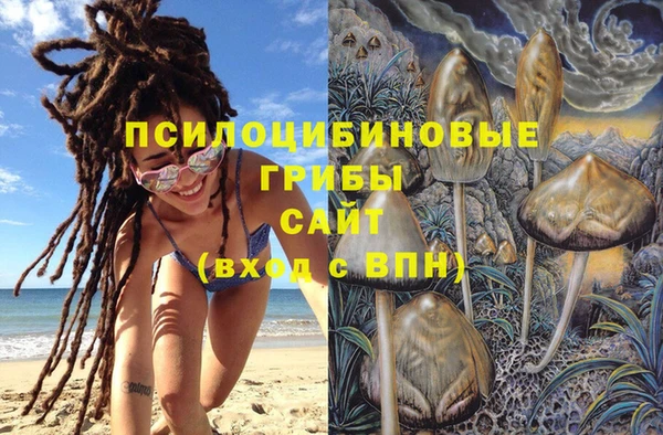 гидра Волоколамск