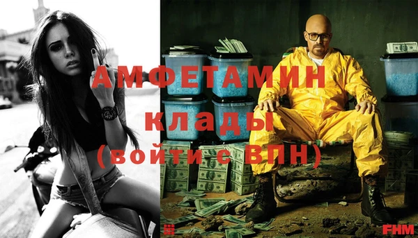 сатива Вязьма
