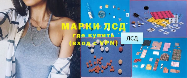 стаф Вяземский