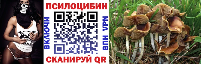 Галлюциногенные грибы мухоморы где найти Пересвет